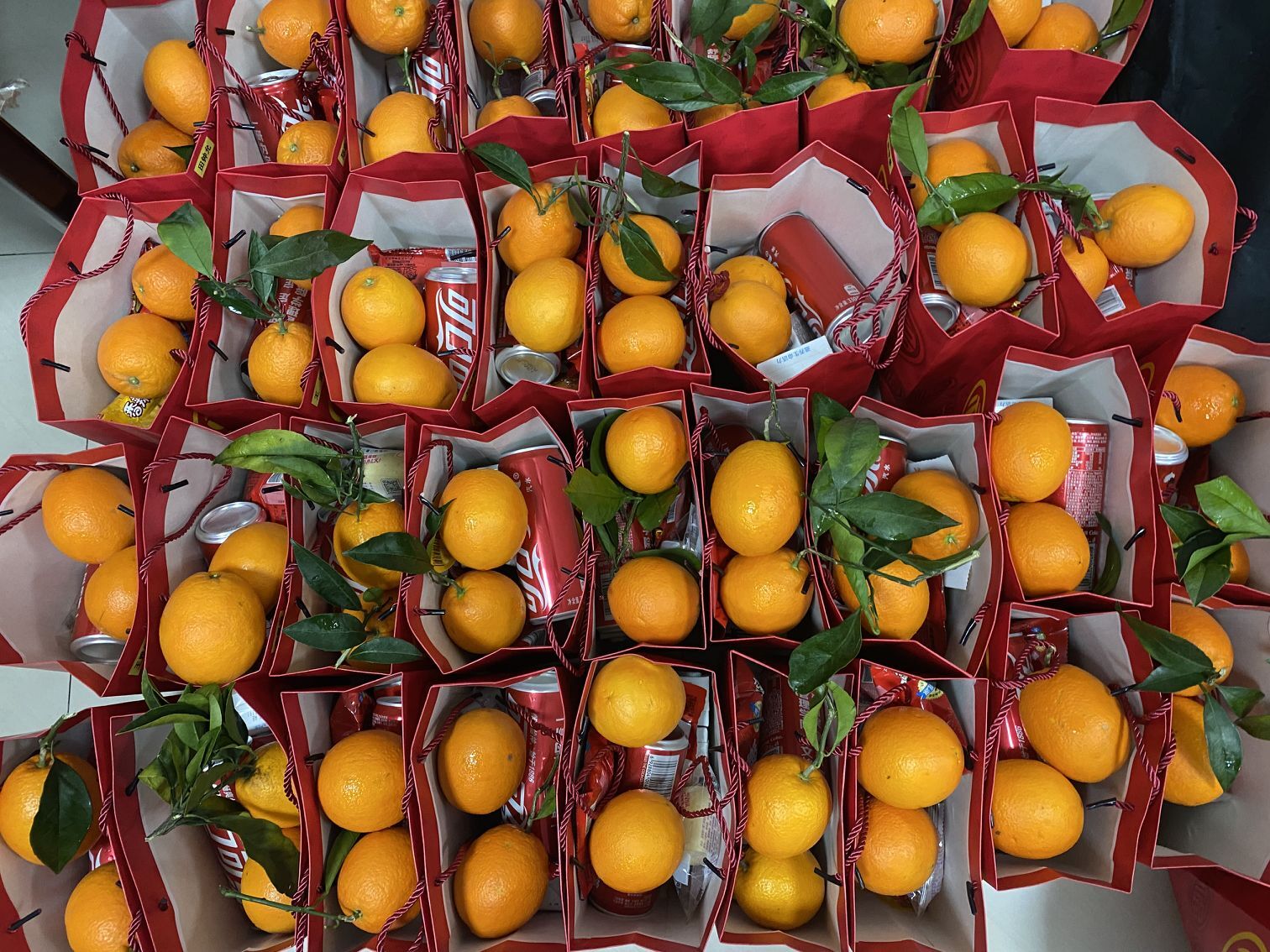 1642496371540060115.jpg 1642496371540060115.jpg