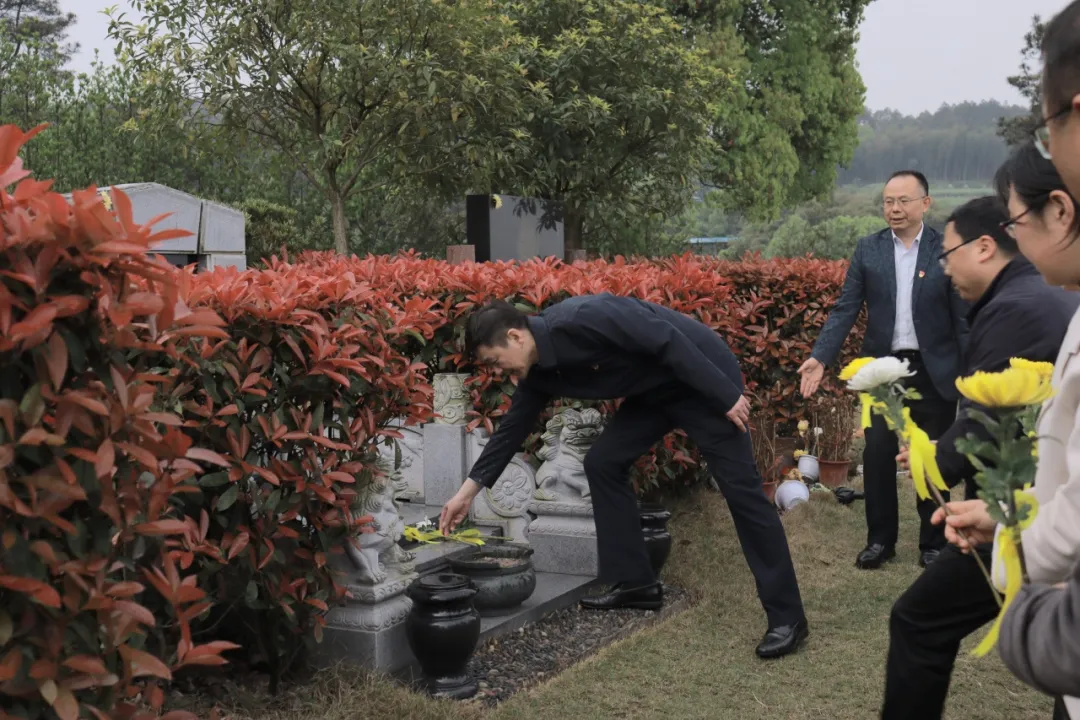 eOaw_1711971394011026434.jpg 3.jpg