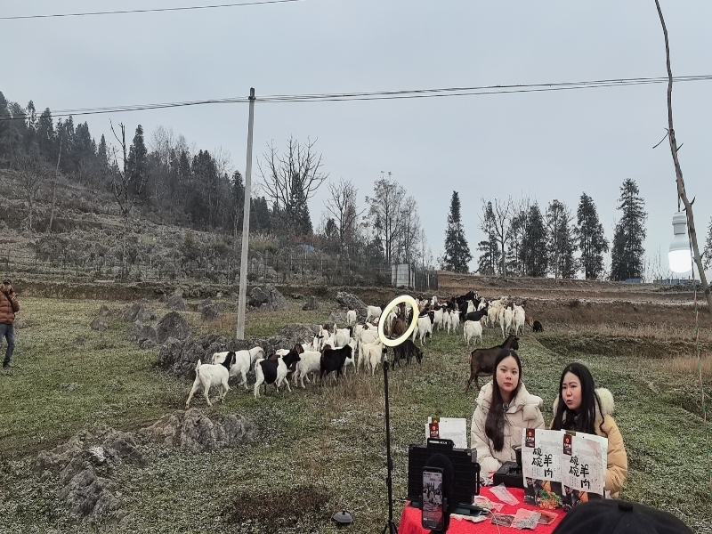 uwRb_1736216436964035267.jpg 1.jpg