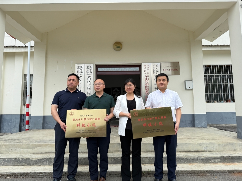 NPYB_1748697069234046678.jpg 3.jpg