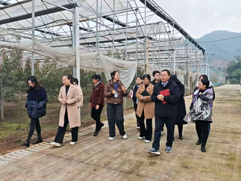 ZtdG_1765262495648068592.jpg 图3.jpg