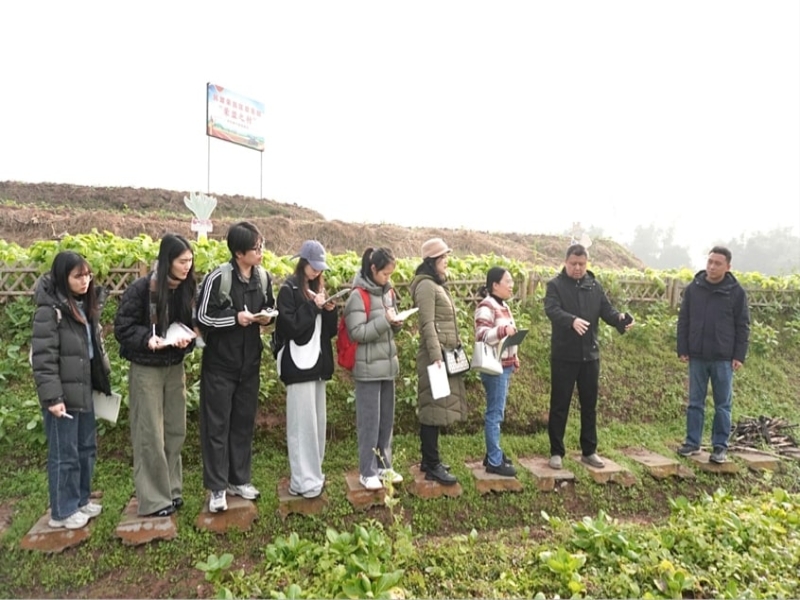 TvnZ_1765938348317084361.jpg 33.jpg