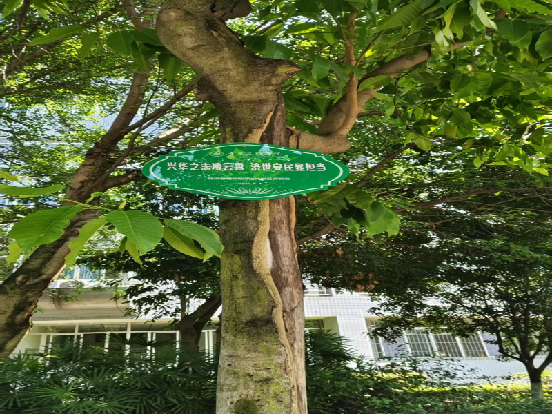 oIPv_1767151573377011870.png 图片2.png